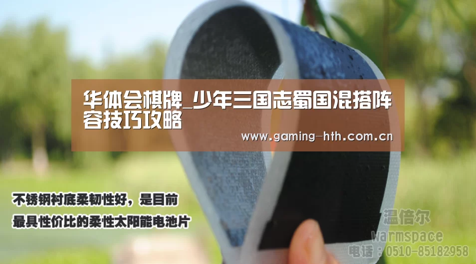 华体会棋牌_少年三国志蜀国混搭阵容技巧攻略(图1) 华体会棋牌_少年三国志蜀国混搭阵容技巧攻略(图1)