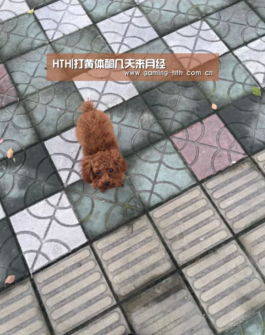HTH|打黄体酮几天来月经(图1)