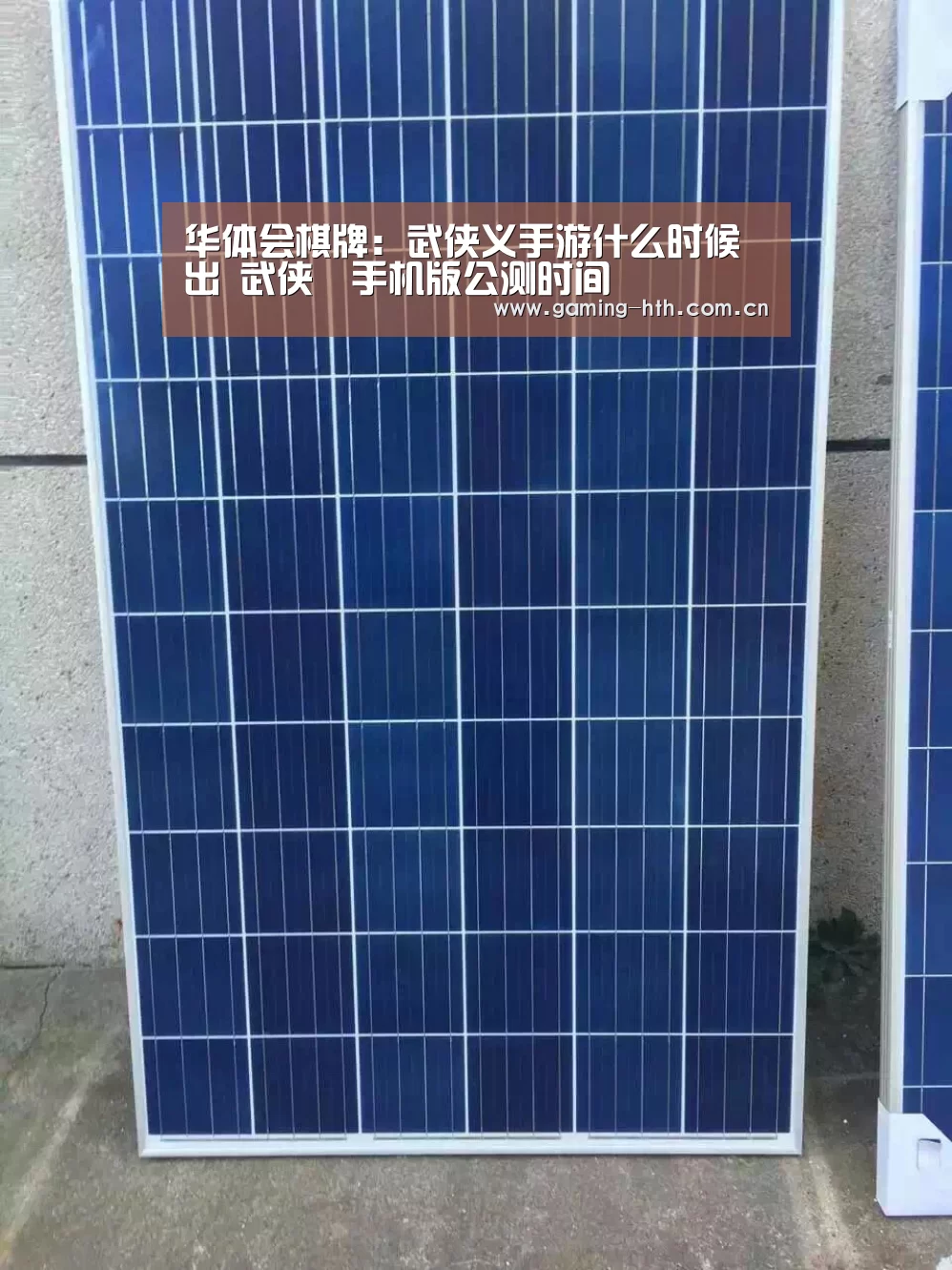 华体会棋牌:武侠义手游什么时候出 武侠乂手机版公测时间(图2) 华体会棋牌:武侠义手游什么时候出 武侠乂手机版公测时间(图2)