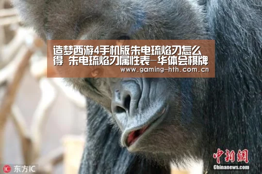 造梦西游4手机版朱电琉焰刃怎么得 朱电琉焰刃属性表-华体会棋牌(图3) 造梦西游4手机版朱电琉焰刃怎么得 朱电琉焰刃属性表-华体会棋牌(图3)